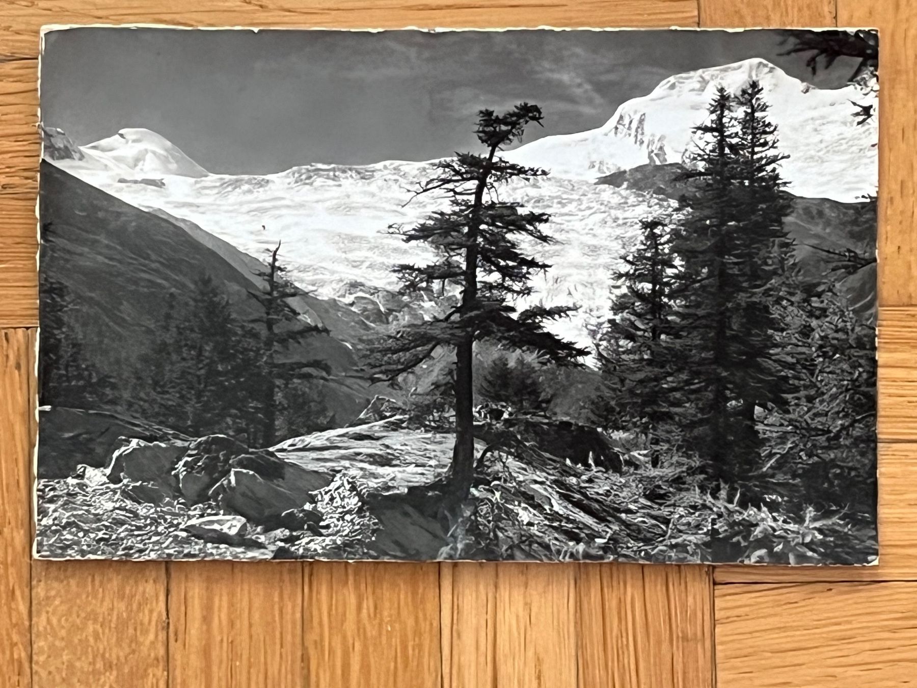 Cartoline postali: Saas-Fee 1959 – Usato da Romanshorn venduto da luxcollect