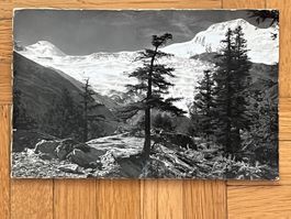 Saas-Fee 1959
