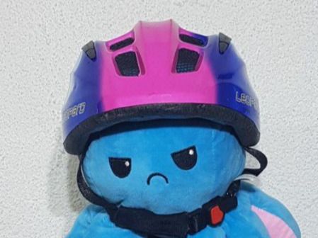 Caschi: Kinder Fahrradhelm Leopard Grösse 48/52 – Usato da Teufenthal AG venduto da boebe071