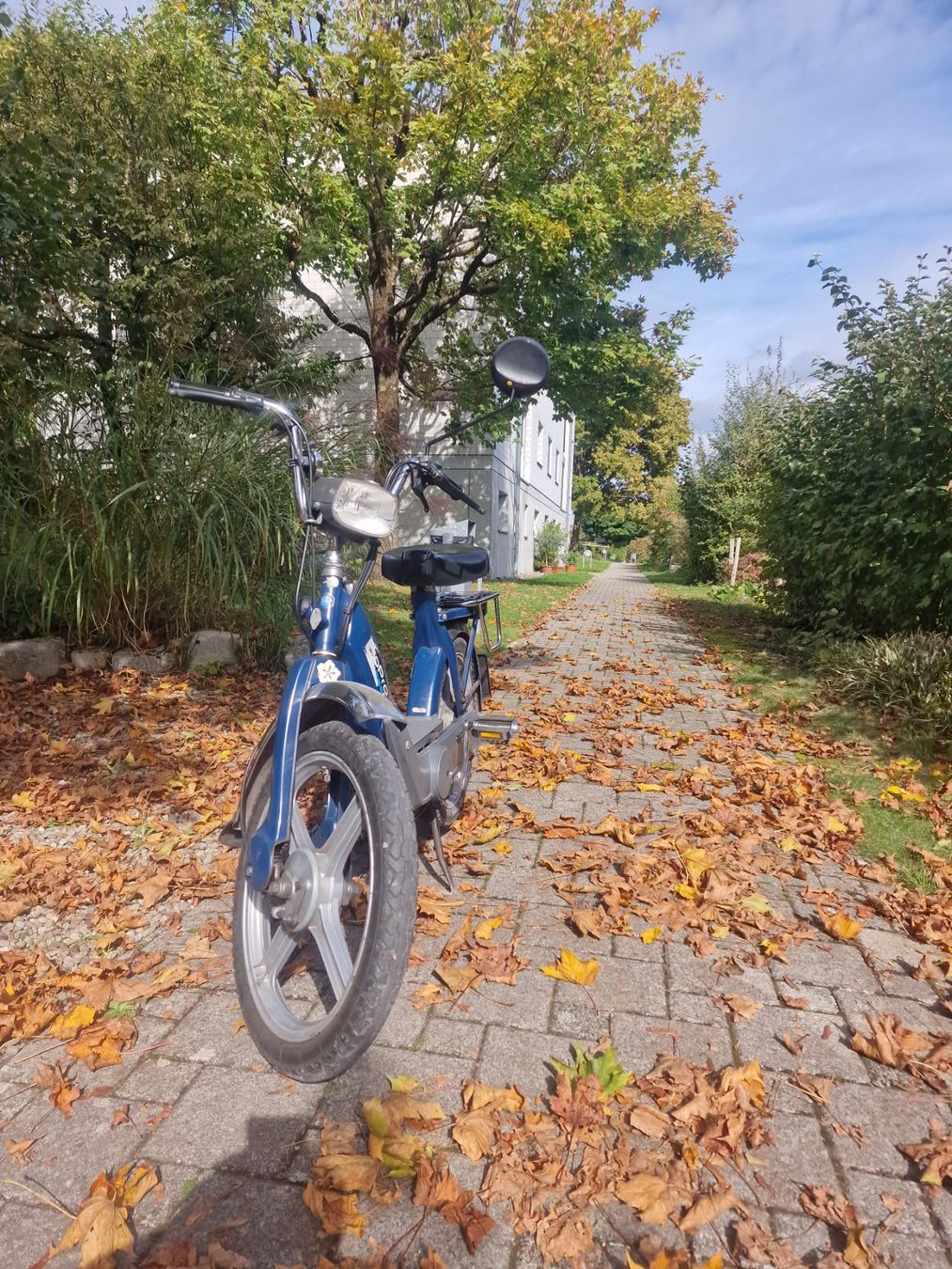 Piaggio Mofas: Piaggio Ciao Mofa – Gebraucht aus Niederwangen BE von benbrik1 1