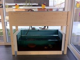 Aquaponik System Marke Eigenbau