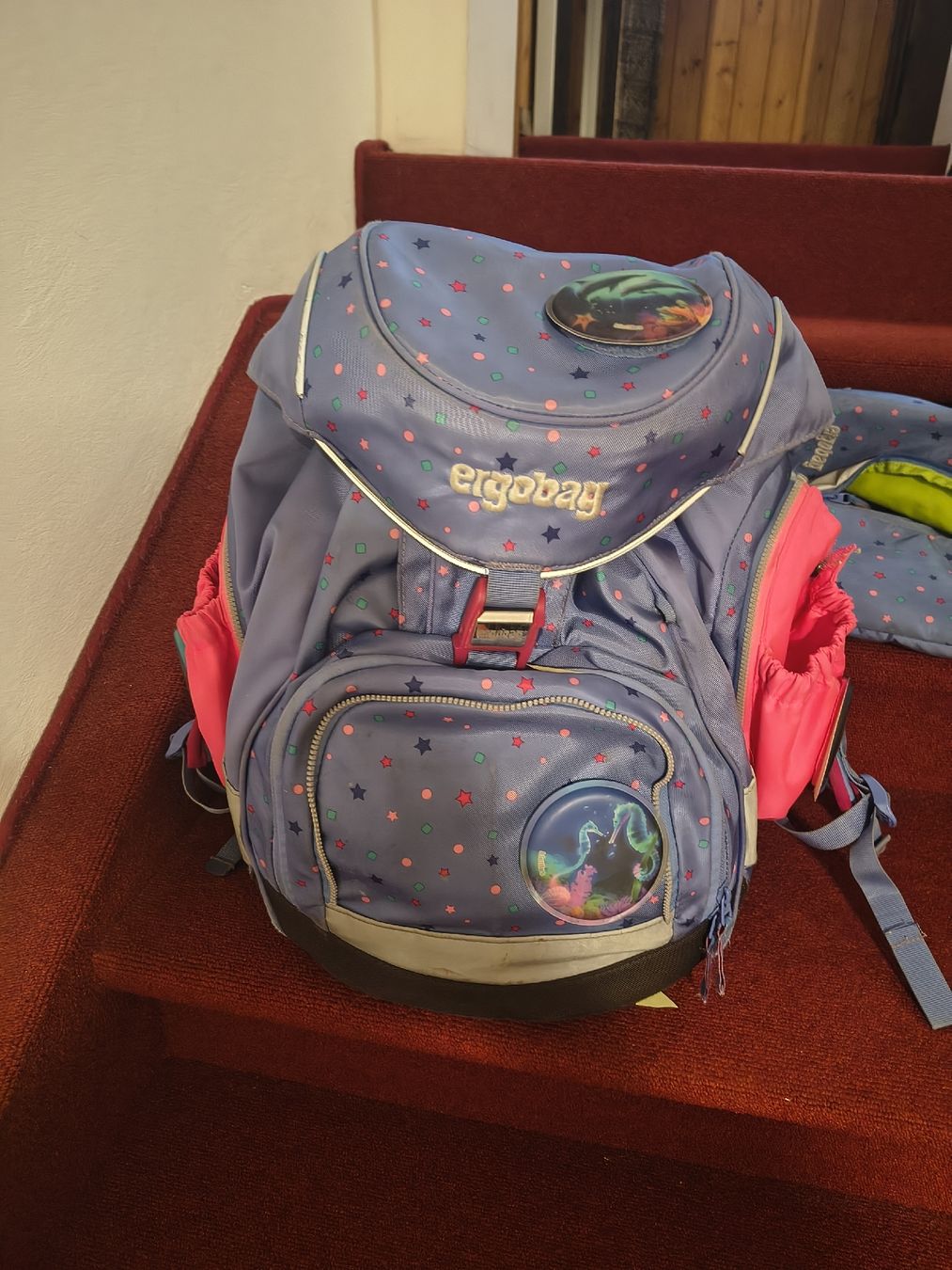 Ergobag Sacs & sacs à dos: Ergobag Schulrucksack Set lila Sterne Delfine gebraucht – D'occasion à Sachseln par and_vp77