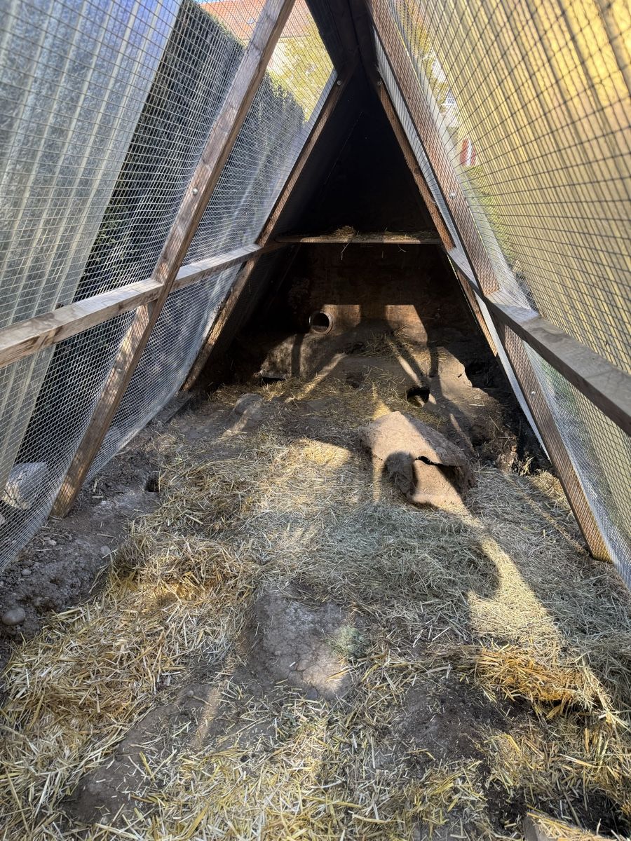 Käfige, Transport & Sicherheit: Kanninchenstall Hasengehege – Gebraucht aus Winterthur von tanscha 5