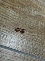 Ohrstecker Herzform Modeschmuck