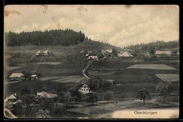 AK Oberhünigen, Ortsansicht mit Feldern und Einzelhöfen