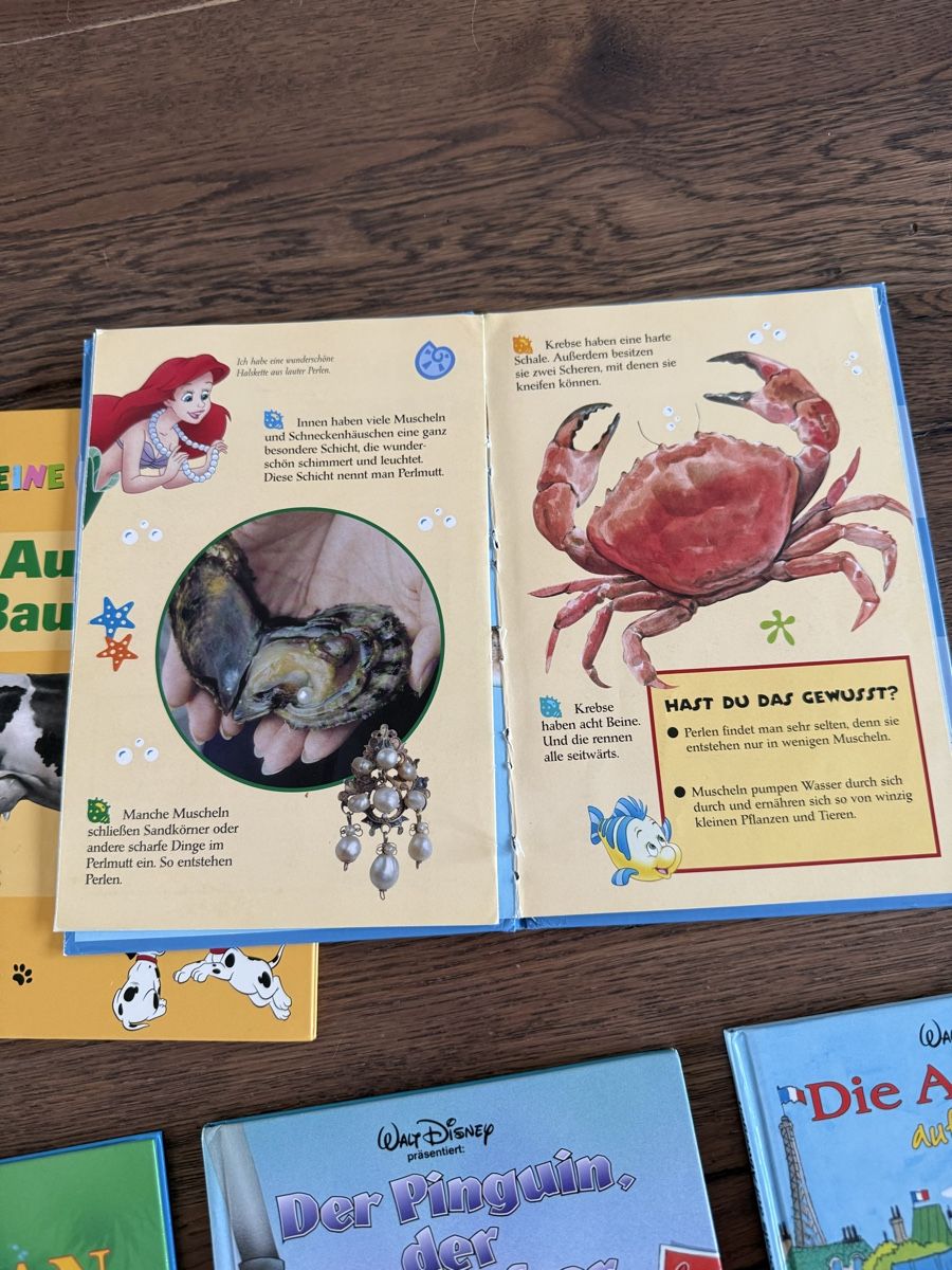 Bücher: Disney Kinderbuch Collection 7 Stk  – Gebraucht aus St. Erhard von Cfreya 3