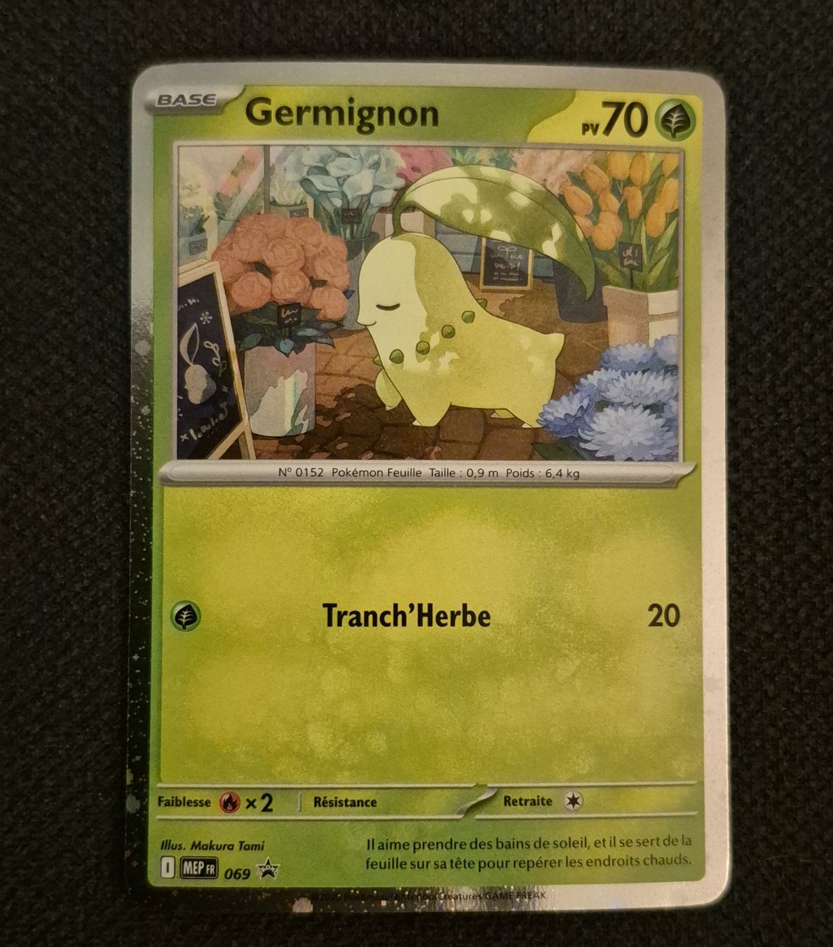 Pokémon Carte collezionabili: GERMIGNON PROMO 069 MEGA ÉVOLUTION POKEMON 2026 FRANÇAIS – Usato da Grand-Lancy venduto da luc111