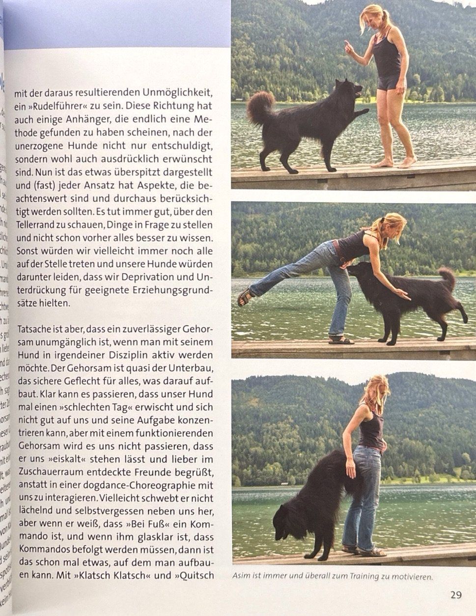Libri: Hunde spielend motivieren – Nuovo (secondo la descrizione) da Sarnen venduto da Livres 5