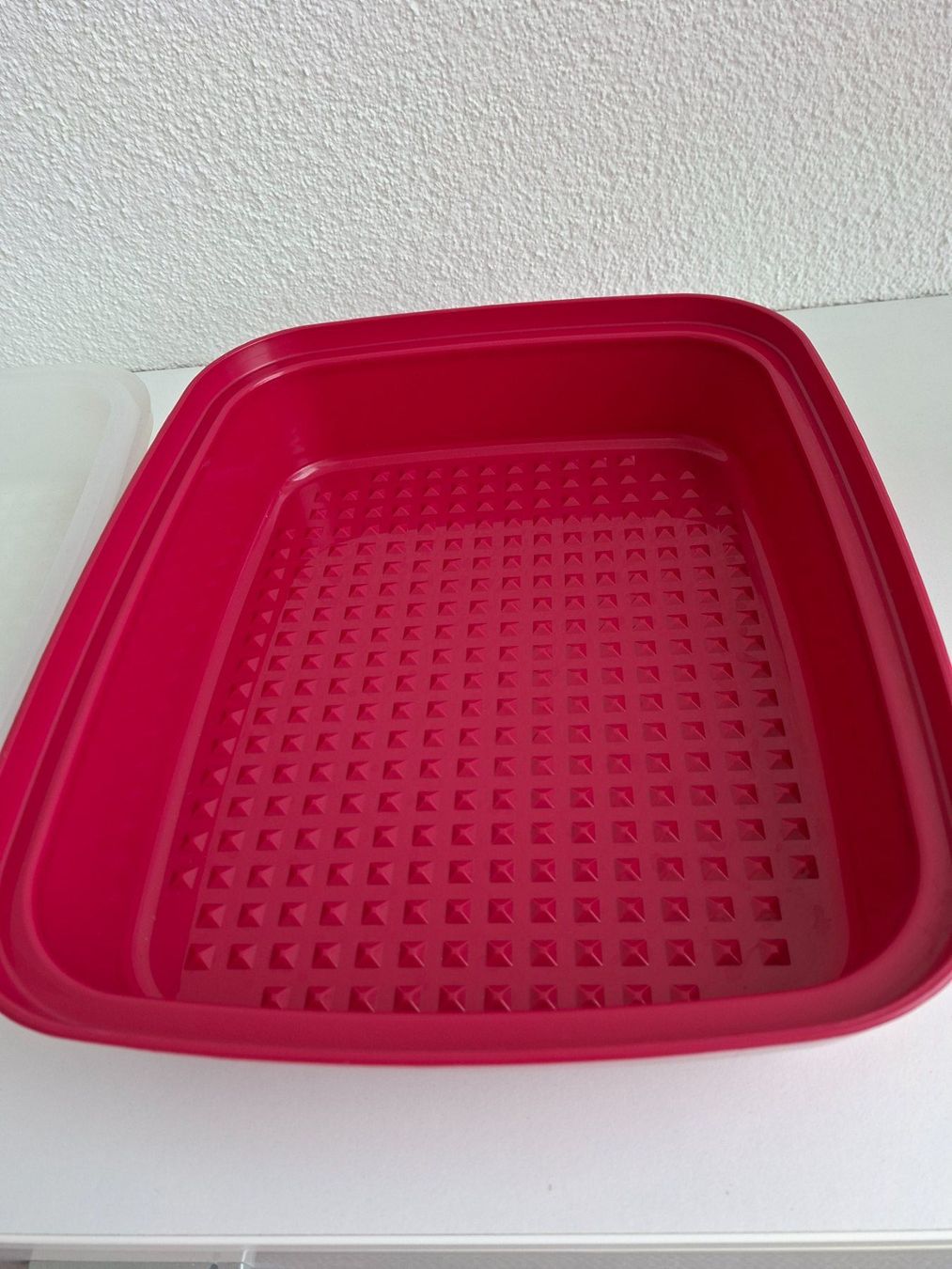 Tupperware Contenitori & Simili: Original Tupperware Marinierbehälter – Nuovo (secondo la descrizione) da Rafz venduto da findelmundo68 3