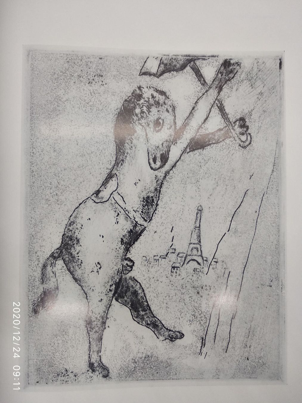 Bücher: CHAGALL WERKVERZEICHNIS GRAPHIK – Gebraucht aus Goldach von Gaip 4