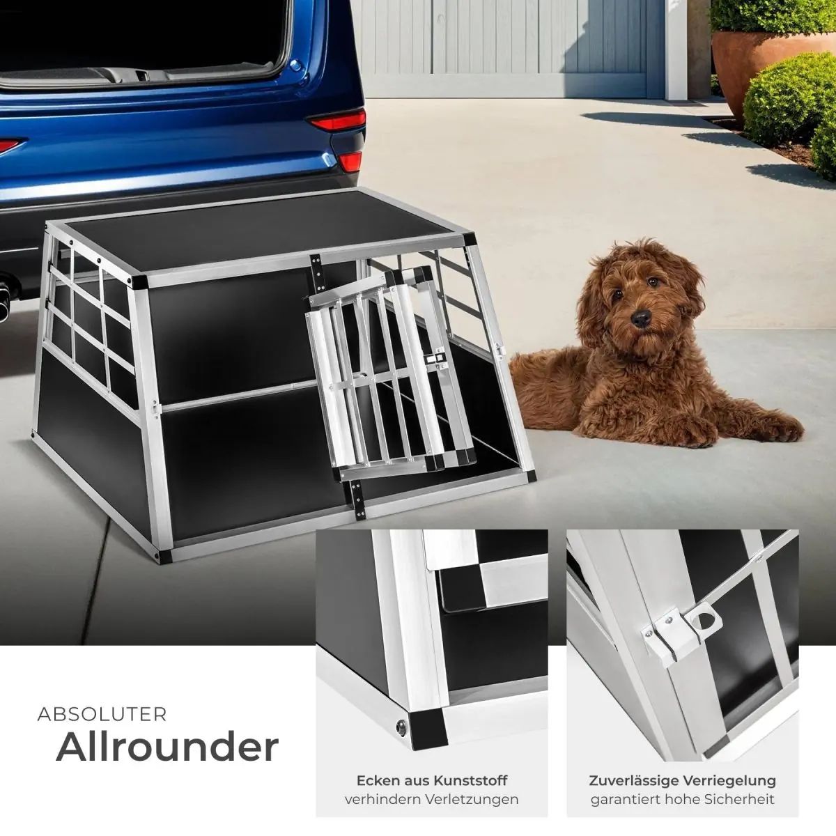 Cucce & Letti: Hundetransportbox doppel – Nuovo e nell'imballaggio originale da Bühler venduto da DealHaus_Ostschweiz 1