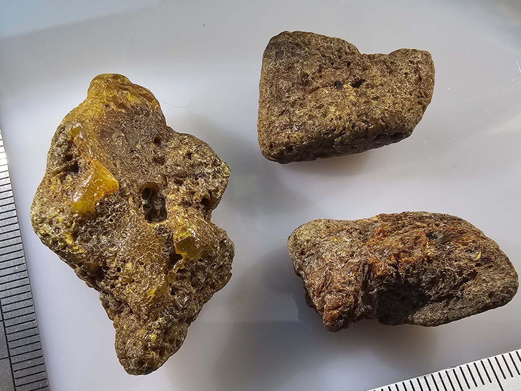 Minerali & Pietre curative: 11gr Rohbernstein echt Roh Bernstein baltisch selten raw – Nuovo (secondo la descrizione) da Riedt b. Erlen venduto da Gottestraene