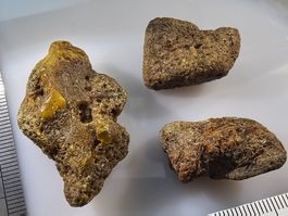 11gr Rohbernstein echt Roh Bernstein baltisch selten raw