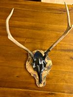 Hirschschädel Wandkunst