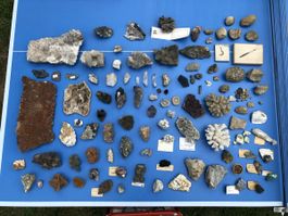 Kleine Mineralien- und Fossiliensammlung