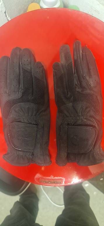 Guanti & manicotti: Reithandschuhe – Usato da Nunningen venduto da south-islander 1