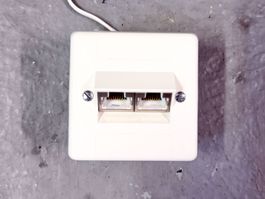 RJ45 DSL AP Dose zum selbst verdrahten