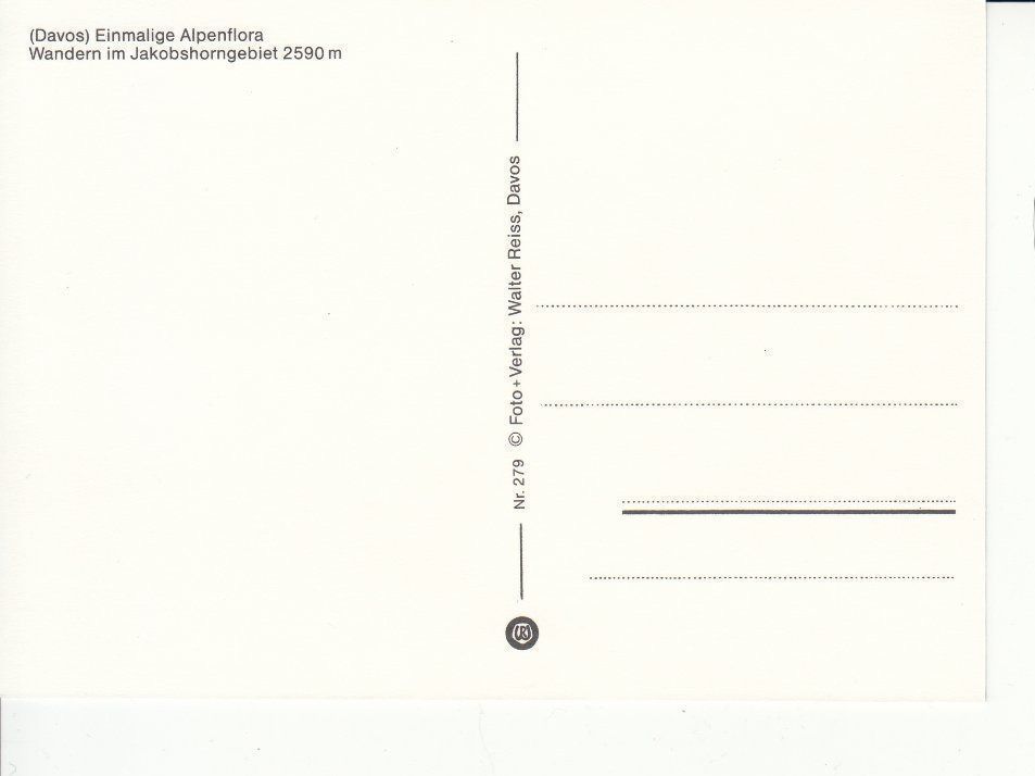 Cartoline postali: Davos 25 um 1995 – Usato da Bürglen TG venduto da StampGraf 1