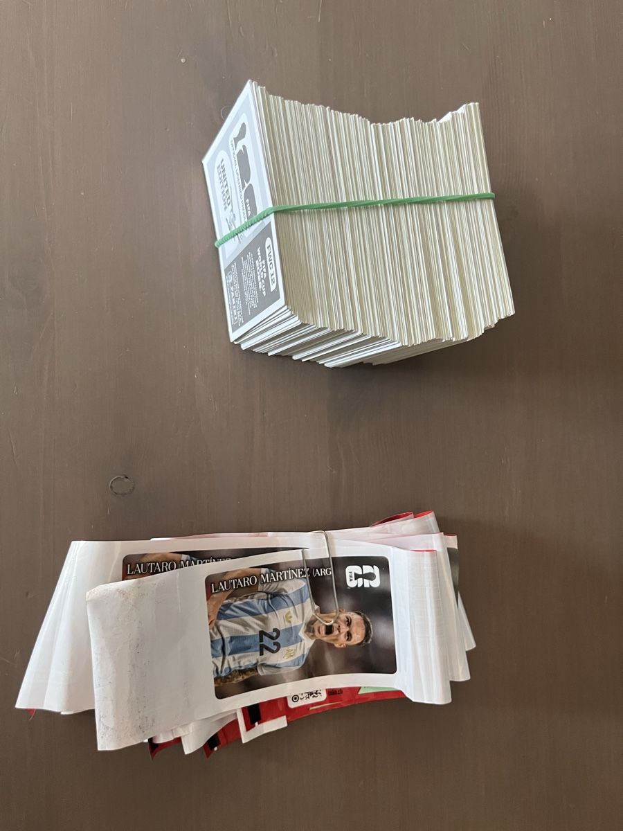 Panini Carte collezionabili: FIFA World Cup 2026 319 Panini Sticker – Nuovo (secondo la descrizione) da Kefikon TG venduto da Schranger7