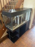 Aquarium mit Unterschrank und Zubehör schwarz gebraucht