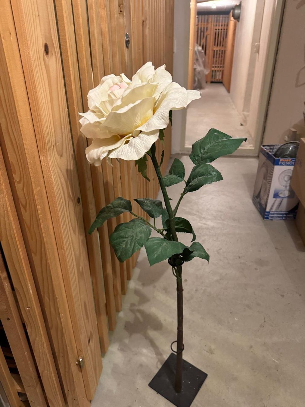Ikea Tutte le decorazioni: Dekorative Rose in Cremeweissem Farbton – Nuovo (secondo la descrizione) da Zürich venduto da mar_mv5c 1