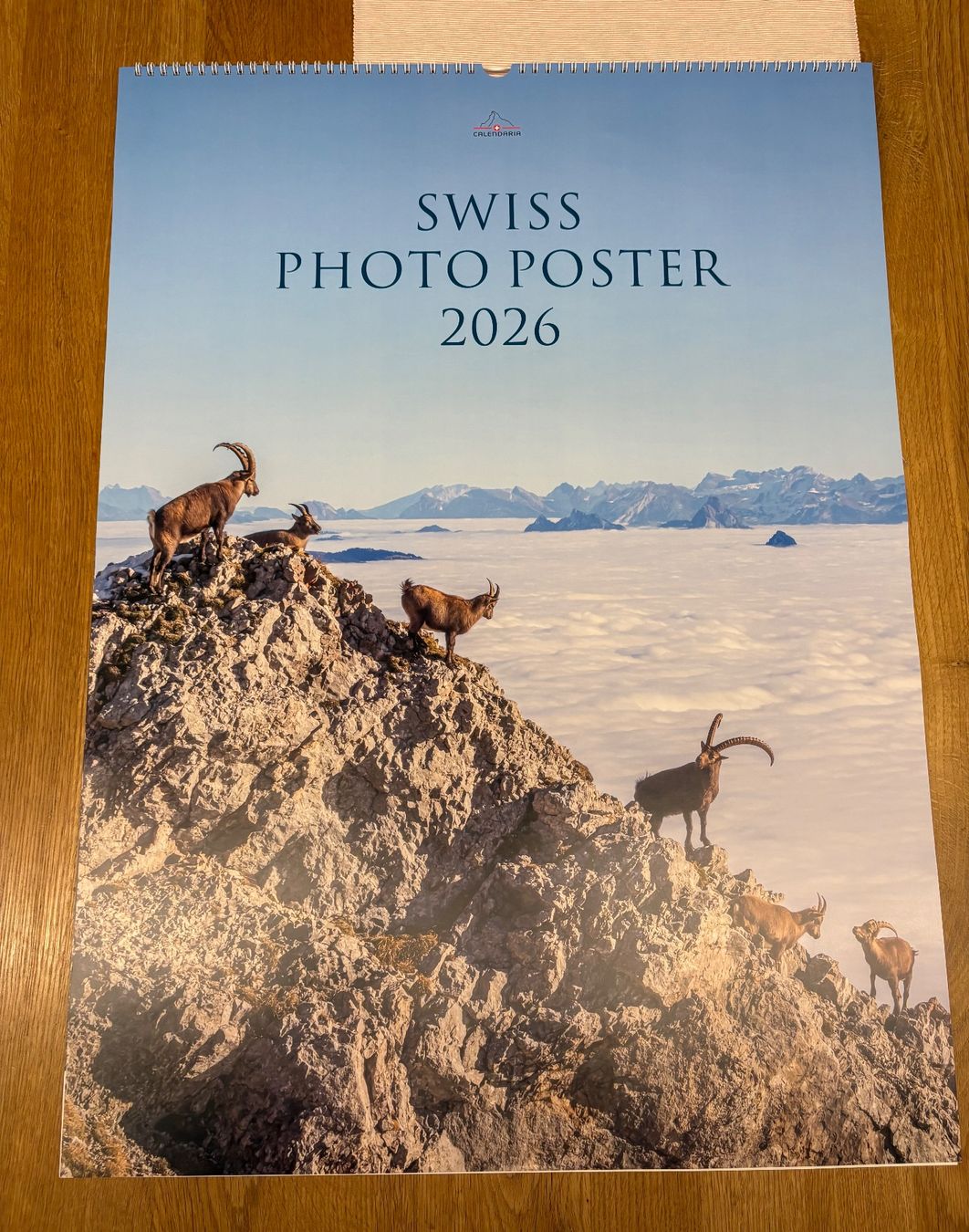 Calendari: Kalender 2026 (50x68 cm) – Usato da Auw venduto da sunny712