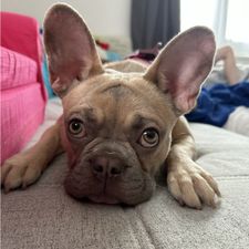Profile image of JasZ