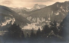 Simmental