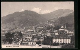 AK Wattwil, Panorama der Stadt, 1915