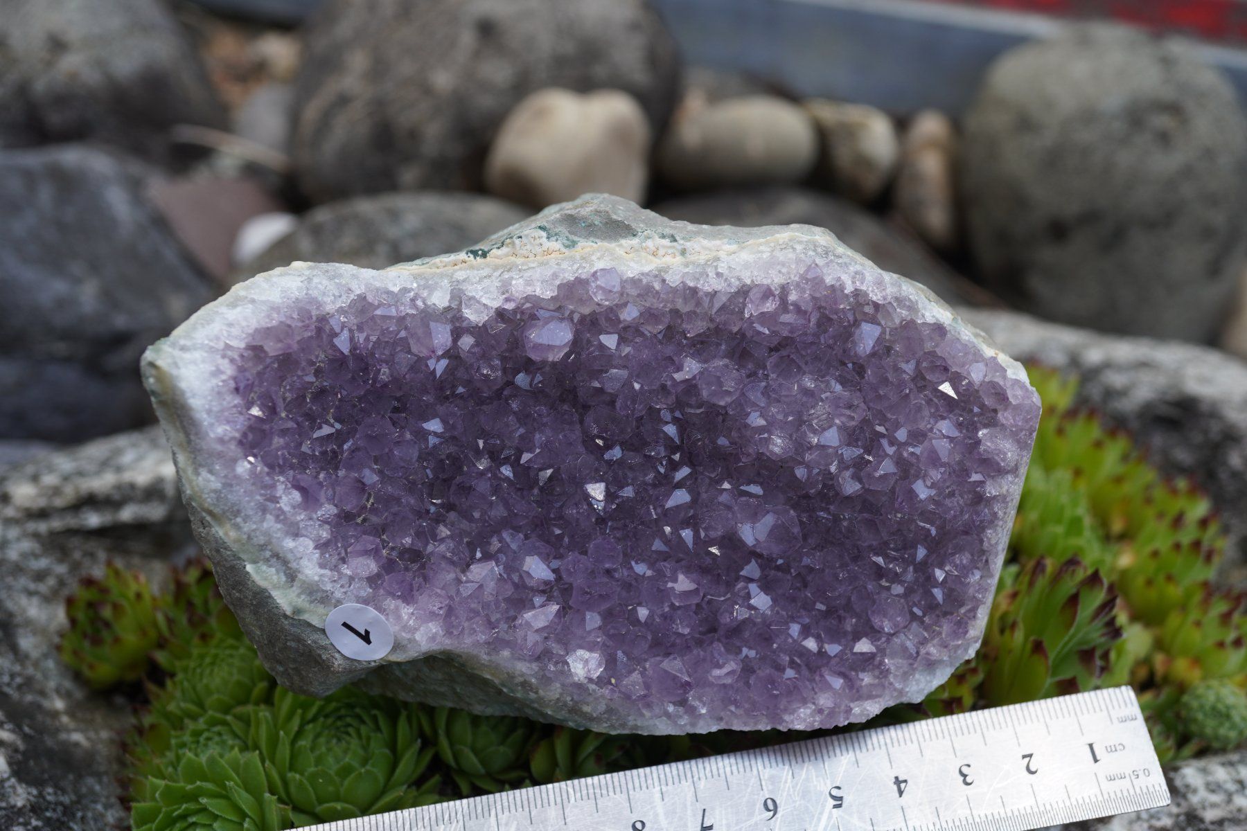 Minerali & Pietre curative: Amethyst Drusen Stück  ca 13cmx 8cm    no1 – Nuovo e nell'imballaggio originale da Eschenbach SG venduto da topstone 6
