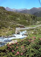 FLÜELAPASS Postauto