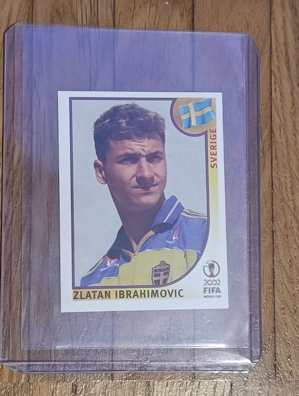 Panini Carte collezionabili: Panini WM 2002 #456 Ibrahimovic – Usato da Uitikon Waldegg venduto da MNC8047 2