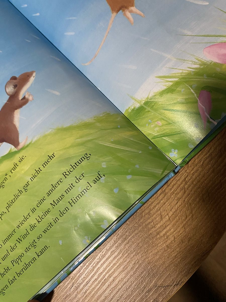 Libri: Pippo fliegt zum Regenbogen – Usato da Rebstein venduto da M.el 3