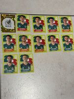 Panini WM 2026 - Mexico Set 12 Stk. inkl. Wappen 