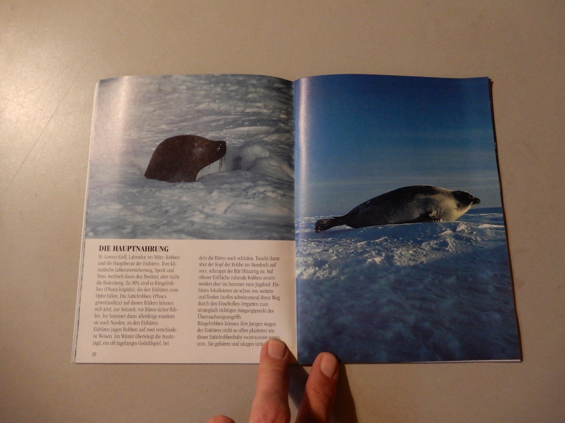 Libri: Makis Gut, Eisbär - Born for Freedom-Kinderbuch,Top! – Usato da Erstfeld venduto da Mario_boe0 4