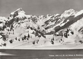 TrüebSee