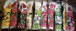 ACTION 50% 10 Rosen Set  Mélange 10 Roses Confezione 10 Ros