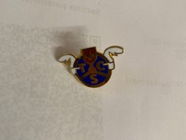 Rare Pin's TCS Ancien - Collectionneur, Passionné!