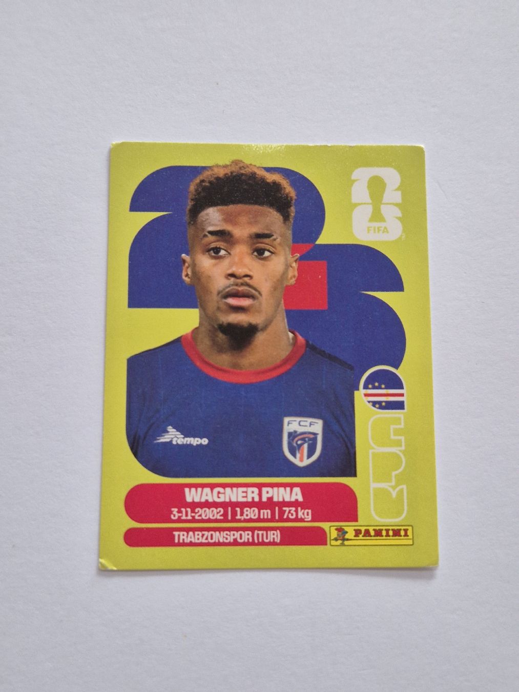 Panini Carte collezionabili: Panini Wagner Pina CPV 7 – Nuovo (secondo la descrizione) da Romanens venduto da ozgore