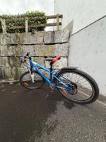 Mountainbike blau California gebraucht