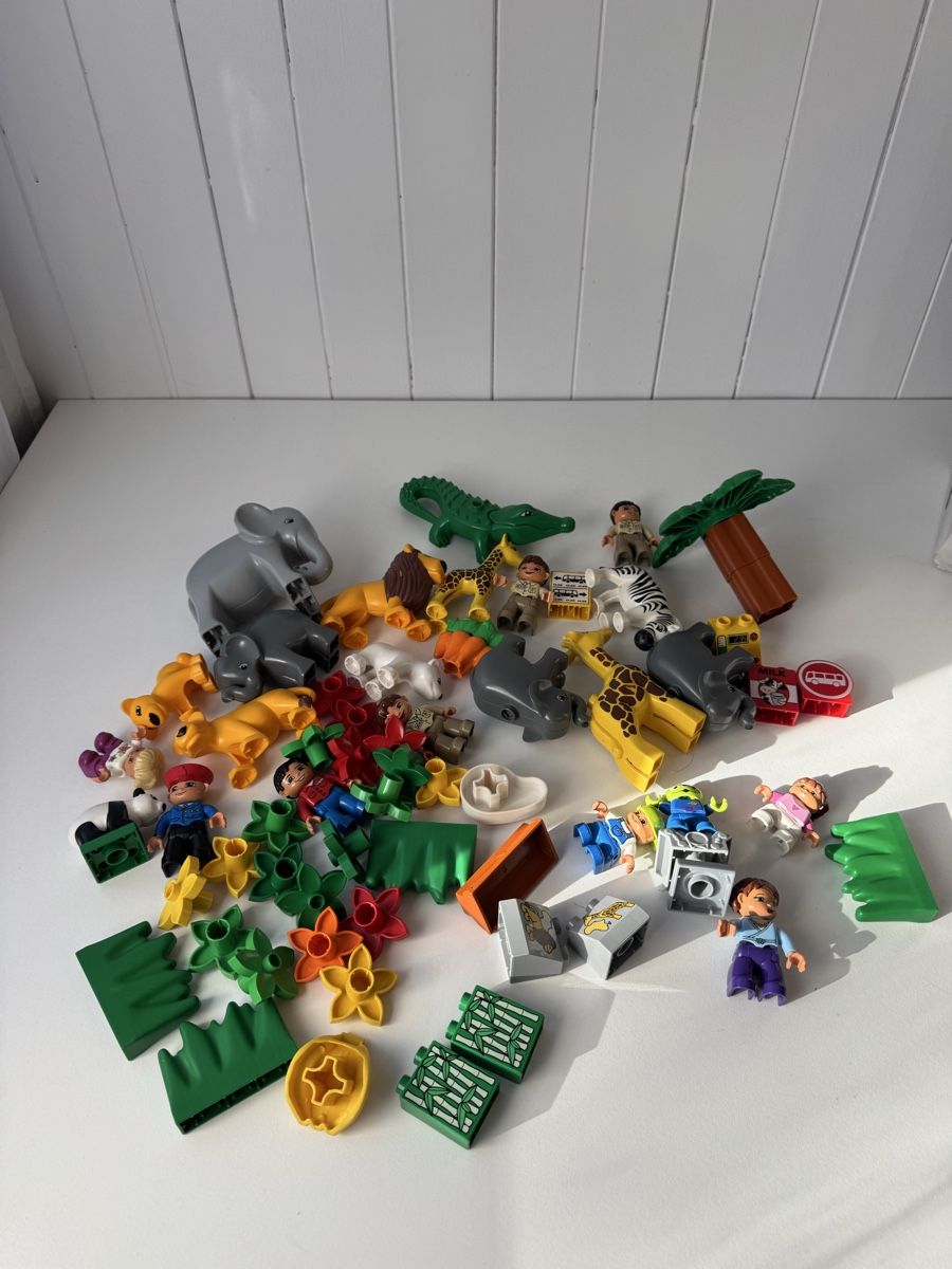 Lego Giocattoli: Lego Duplo Konvolut – Usato da Walchwil venduto da QLD 1