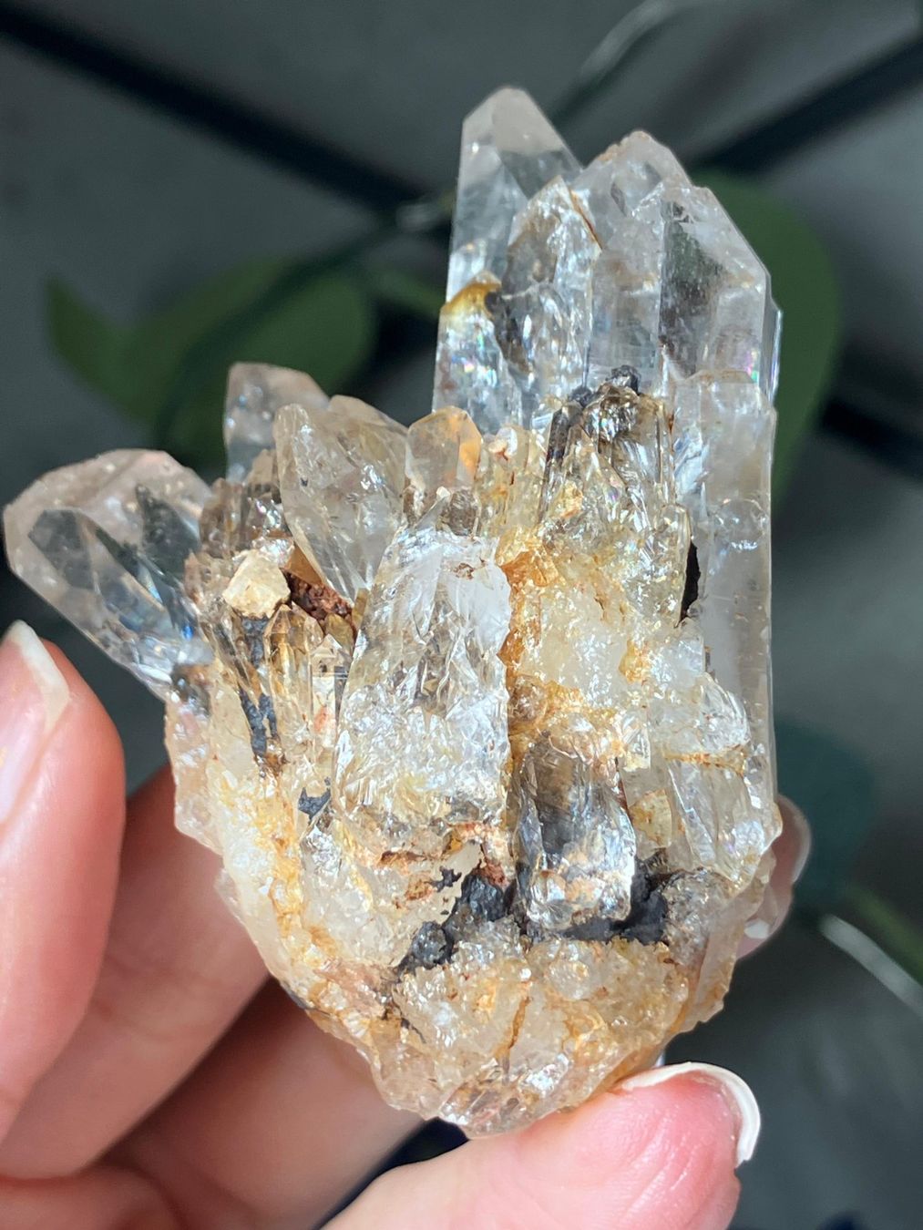 Minerali & Pietre curative: Klarer Quarz Cluster – Nuovo (secondo la descrizione) da Neuheim venduto da m.hald 5