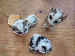 3 kleine Katzenfiguren mit echtem Fell - 2 x  Golden Leaf