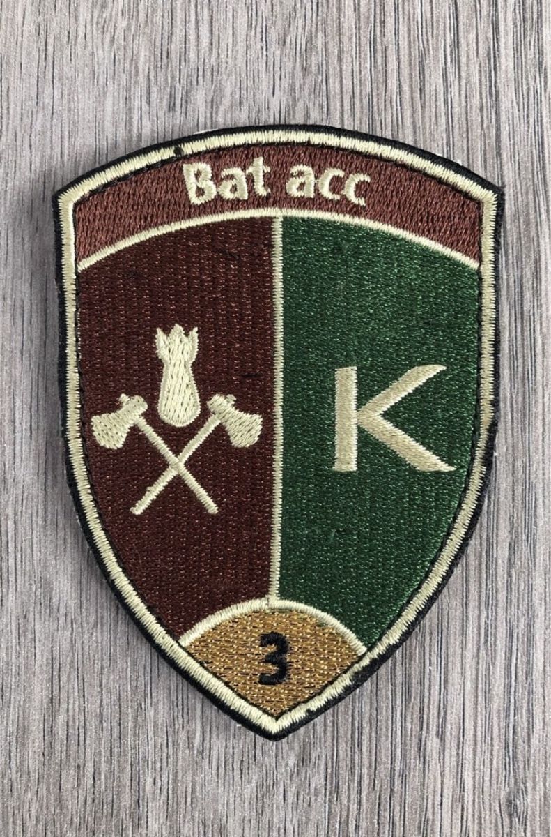 Schweizer Armee Placchette & Badge: Schweizer Armee Bat acc 3 Uniform Badge – Usato da Maienfeld venduto da DivicoHelveticus