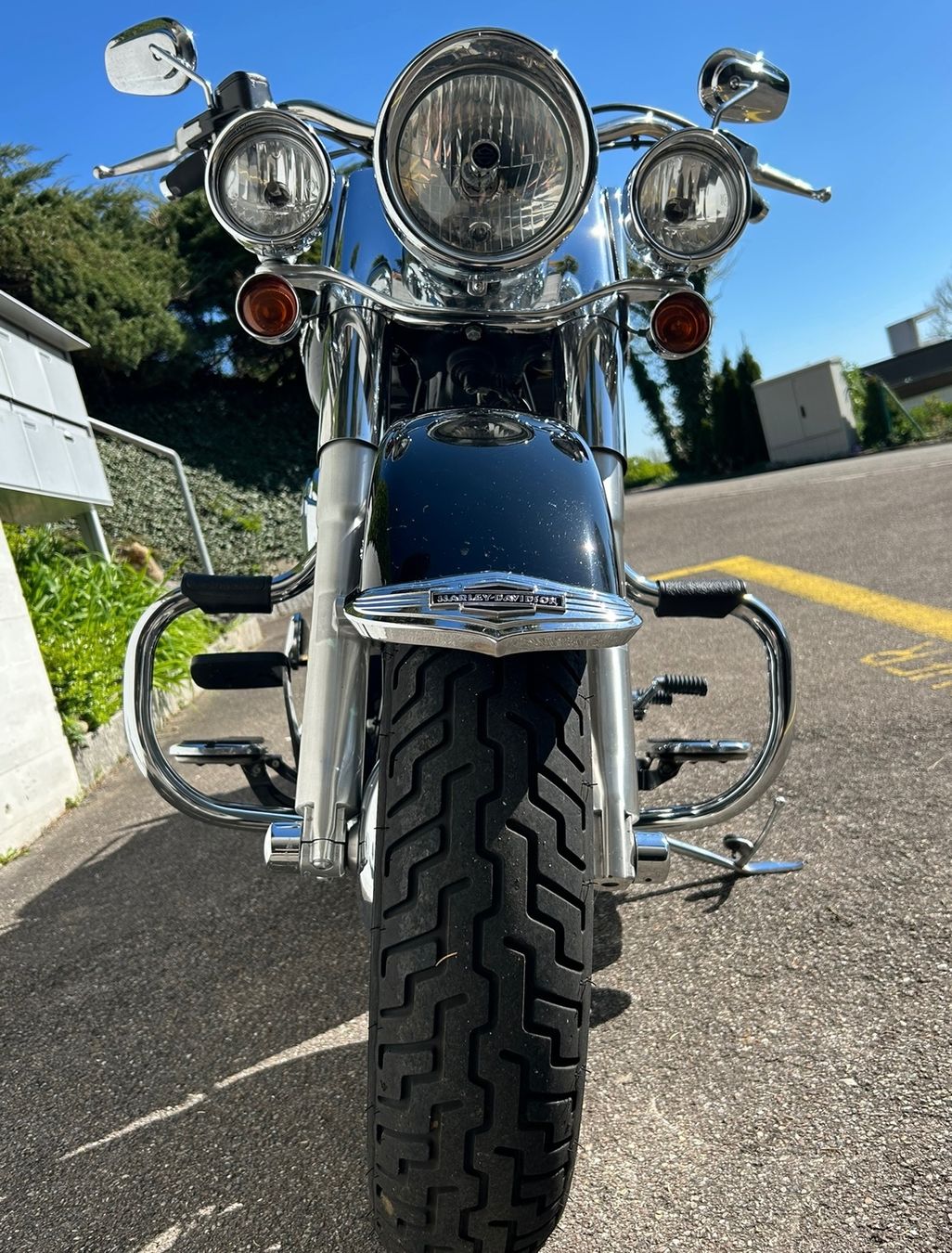 Harley-Davidson Chopper: Harley Davidson FLSTN 103 Deluxe – Usato da Oetwil an der Limmat venduto da astropoot 3