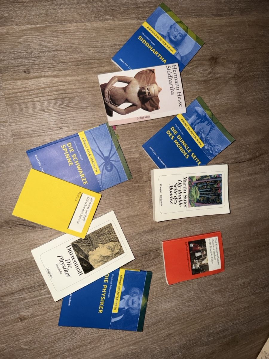 Livres: Bücher Konvolut: Siddhartha, Die Physiker, Spinne – D'occasion à Baar par cori_20
