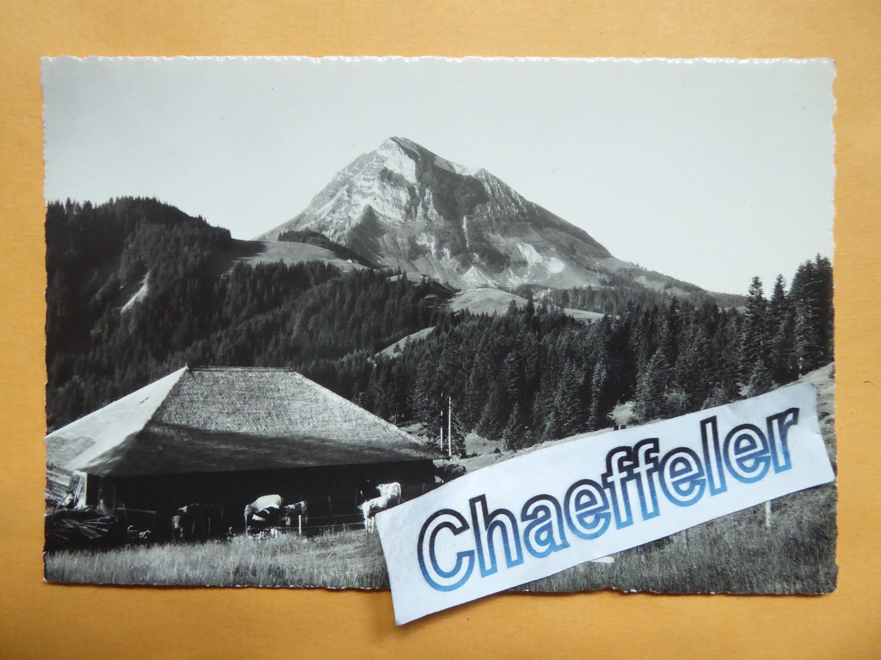 Cartoline postali: Le Moléson – Nuovo (secondo la descrizione) da Zürich venduto da Chaeffeler