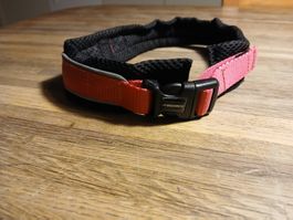 Halsband