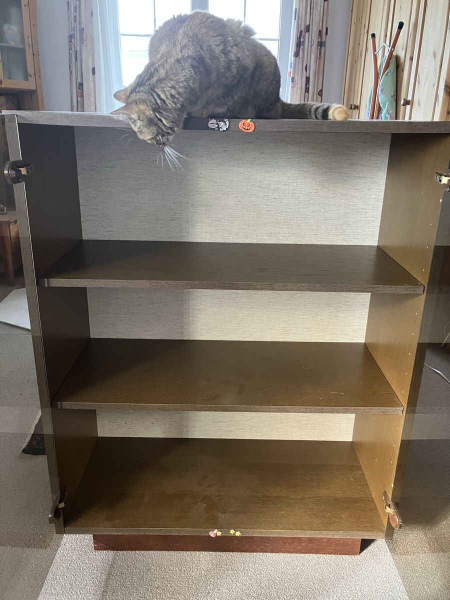Vitrinen: Vitrine, braun – Gebraucht aus Horn von nat_97wq 5