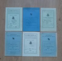 6 alte Lehrverträge (Maler) ab 1936